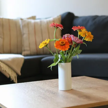 Apartment Porisch