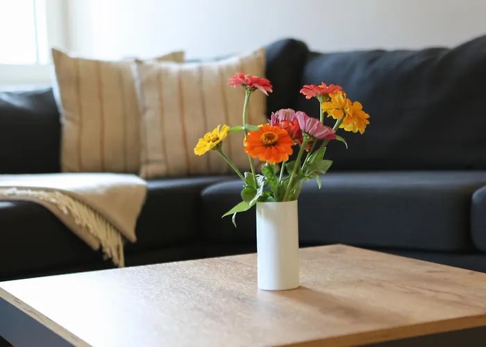 Apartman Porisch